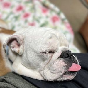 Meet your Posher, Donovan